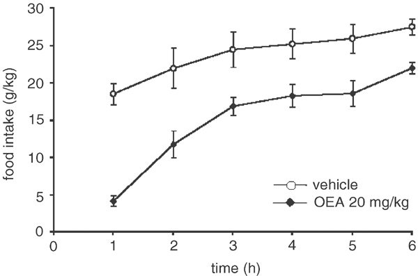 正常なラットとオレオイルエタノールアミドを20mg投与されたラットの6時間で口にしたエサの量を表すグラフ
